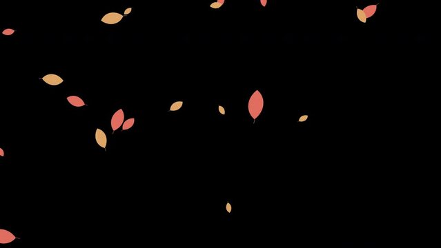 Loop animation of autumn leaves falling diagonally on black background