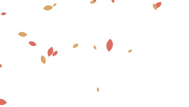 秋の紅葉した葉っぱが斜めに落ちるループアニメーション（白背景）