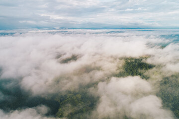 Tropical green tree forest withmorning fog on mountain