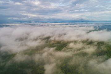 Tropical green tree forest withmorning fog on mountain