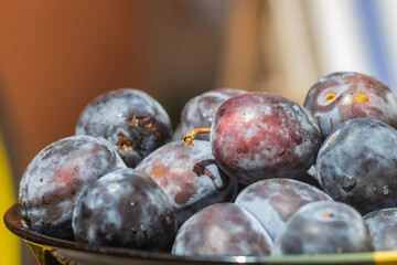 Picked plums in a ceramic bowl.
