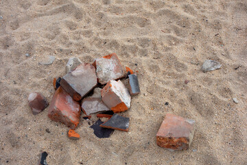 broken shell on the sand