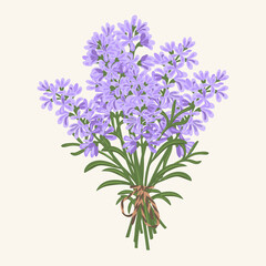 IMG_3366Hand drawn vector illustration of  violet lavender flowers bouquet