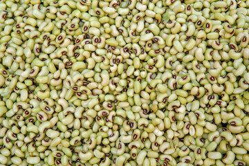 Black eye pea, or Feijao de Corda in Portuguese, to sale in street market. Sao Paulo, Brazil