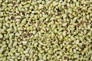 Black eye pea, or Feijao de Corda in Portuguese, to sale in street market. Sao Paulo, Brazil