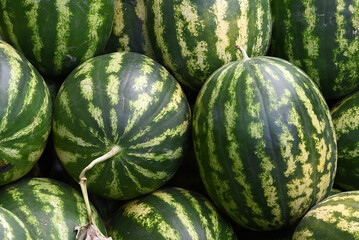 Wassermelonen auf Markt