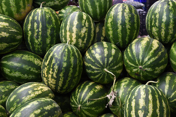 Wassermelonen auf Markt