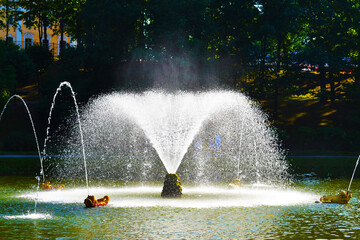 fountain sprays water against the background of green trees