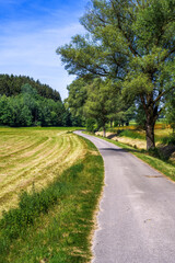 Fototapeta na wymiar Winding country road in Bavaria