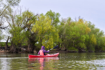 Woman in red kayak paddle at river near shoreline with green gentle spring trees