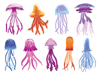 Jellyfish collection. Sea wildlife and ocean fauna concept, aquatic underwater or undersea animals. Creative different medusa flat icon set for web design. Colorful swimming marine creatures