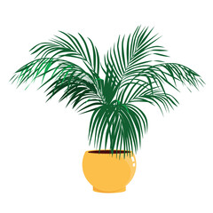 Obraz premium Home tree areca palm in a garden pot. Interior element. Vector illustration in flat style isolated on white background