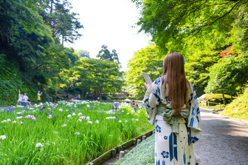 神奈川県鎌倉市　明月院の花菖蒲と浴衣女性