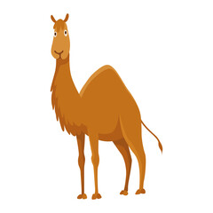 Camel with one hump. Desert animal standing in side view. Cartoon vector. Flat icon design, isolated on white background