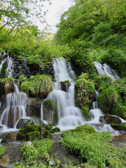 Obraz premium 公園の滝