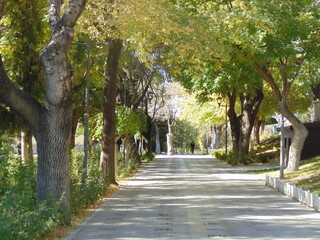 path in the park