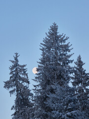 Verabschiedung des Mondes am Morgen