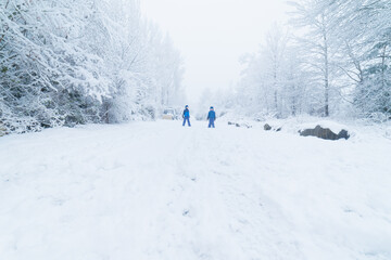 Fototapeta na wymiar Two kids exploring a snowy track between white pines