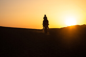 camel ride in sunset