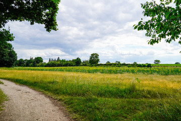 Landscape near Oberhausen-Rheinhausen. Nature with flowering meadows.
