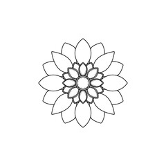 flowers floral illustration on white background design 