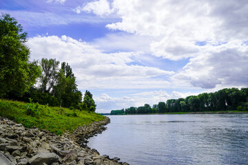 Rhine near Schwetzingen. River with the surrounding nature.
