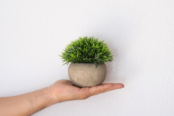 A hand holding a stone pot with green plant on wall background