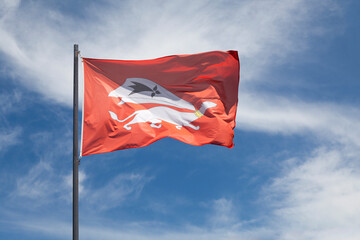 Flag of Vannes waving un mid air