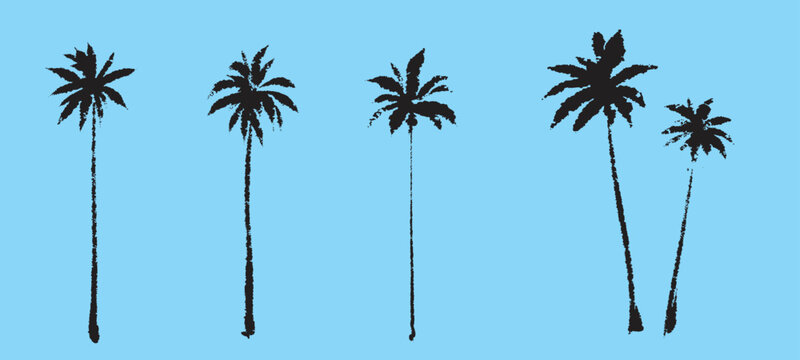 Palm tree silhouette. Textured ink brush hand drawn vector
