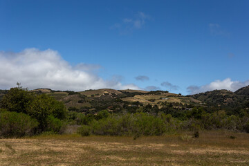 A view on the forrest with hills and sky