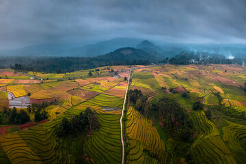 Aerial photo of Indonesian nature with yellowing rice fields and beautiful terraces in bad weather