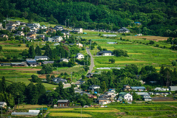 Fototapeta na wymiar 中山霊園から見る農村　東山方面