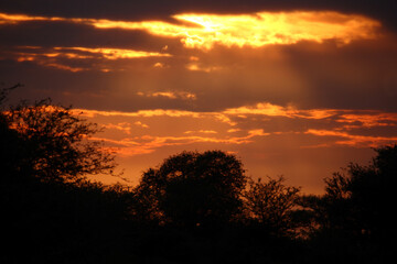 Fototapeta na wymiar Sonnenuntergang - Krüger Park Südafrika / Sundown - Kruger Park South Africa /