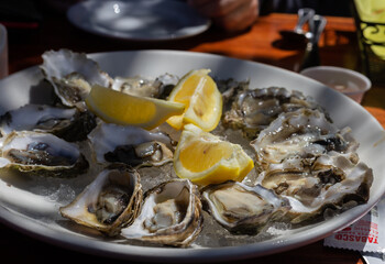 Fresh oysters on a plate with lemon