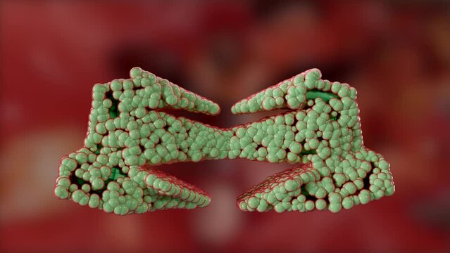 Alogliptin diabetes drug molecule. dipeptidyl peptidase 4 (DPP-4) or gliptin class of antidiabetic medicines. anti-diabetic drug in the DPP-4 inhibitor class, loop animation, alpha channel, 3d render
