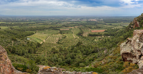 Views of olive trees from Areny Mountain, Catalonia, Spain