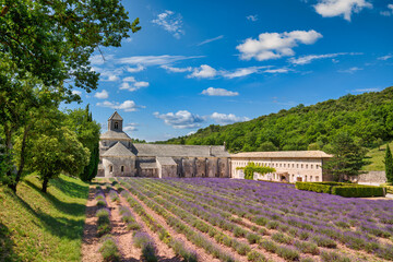 Picturesque travel landscape, idyllic sunny destination scenic. The Romanesque Cistercian Abbey of Notre Dame of Senanque set amongst flowering lavender fields, near Gordes, Provence, France