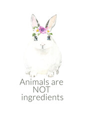 Animals are not engredients  Vegan Watercolor poster illustration. Cute spring bunny ethical living print. Not tested on animals. No animal testing.Go vegan. Organic. Animal sticker, flyer,logo, stamp