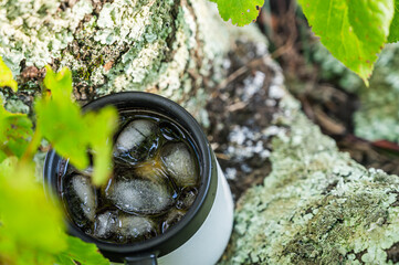 木の幹とアイスコーヒー