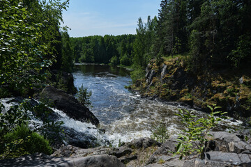 Fototapeta na wymiar The concept of travel in Russia. The Kivach Nature Reserve in Karelia is popular tourist destination. The waterfall rapid stream of water rushing down rocks. Green forest around.