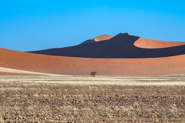 Fototapeta na wymiar Namibia, the Namib desert, graphic landscape of red dunes 