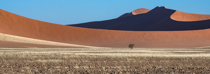 Namibia, the Namib desert, graphic landscape of red dunes 
