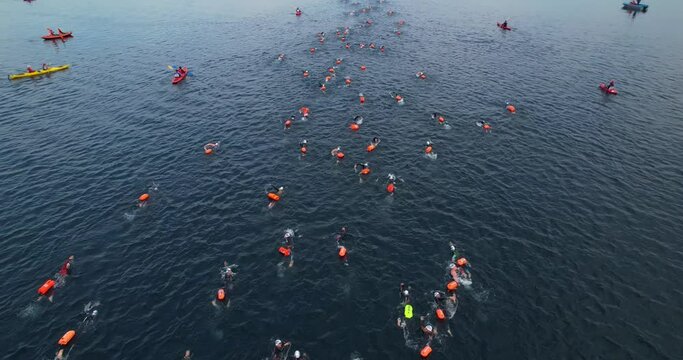 Open water swimming competitions. Swimmers with buoys. A sports event on the water. Aerial view of the swimmers during the swim. A group of people in wetsuits swim to the finish line. 