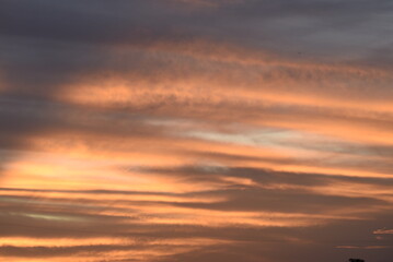 sunset over the field