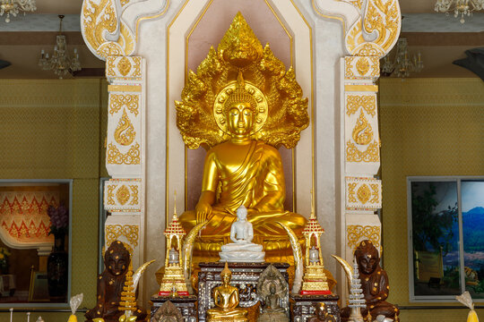 Golden Buddha statue with 7 heads Naga at Wat Nuea, Mueang District, Roi Et Province, Thailand
