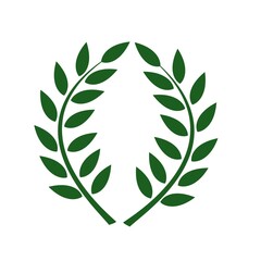 Laurel wreath isolated on white. Green leaf natural plant tree