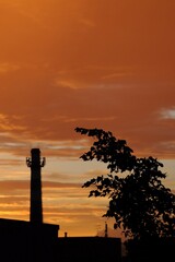 Black clear silhouette of a tree branch. Blurred silhouette of a building and pipes in the background. Red-orange sky with dense clouds. Sunset colors. Gold, orange, red, blue stripes.