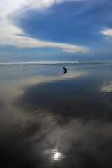 Obraz na płótnie Canvas reflections of man playing sand on the beach