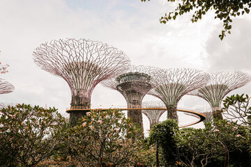 Fototapeta premium Iconic Marina Bay Sands 