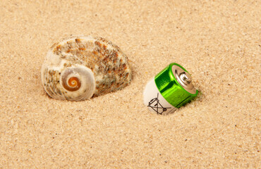 Fototapeta na wymiar image of battery seashell sand background